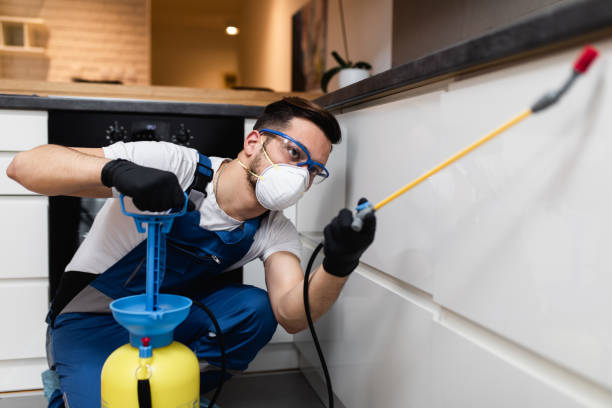 Best Wasp Removal Services  in Woodville, AL