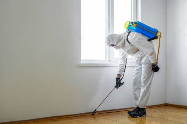 Best Best Pest Control Companies  in Woodville, AL