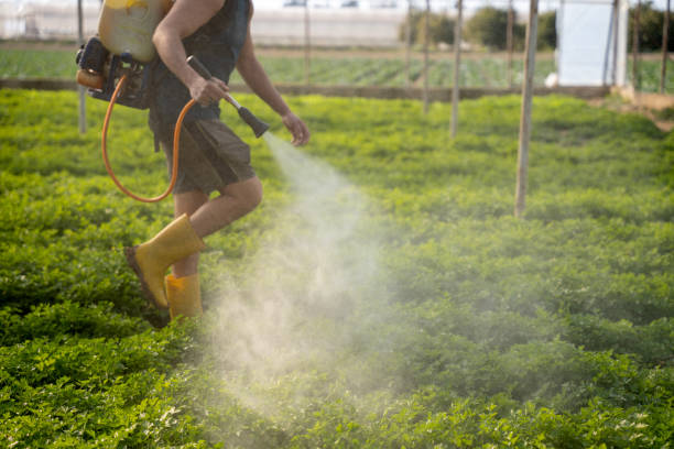 Best Pest Inspection Near Me  in Woodville, AL
