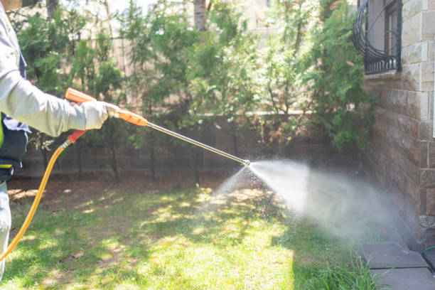 Best Pest Control Near Me in Woodville, AL