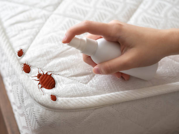 Best Pest Prevention Services  in Woodville, AL