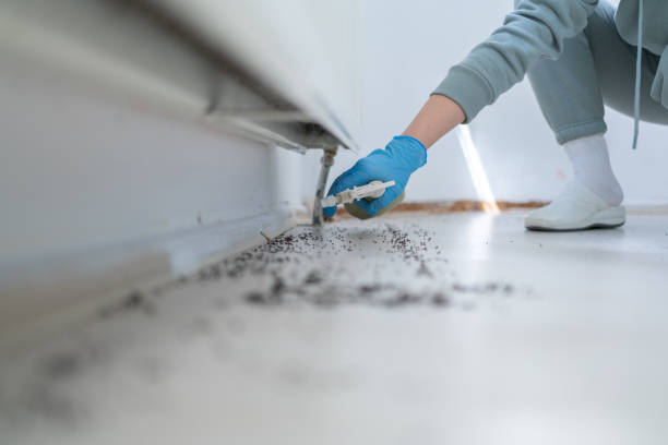 Woodville, AL Pest Control Company